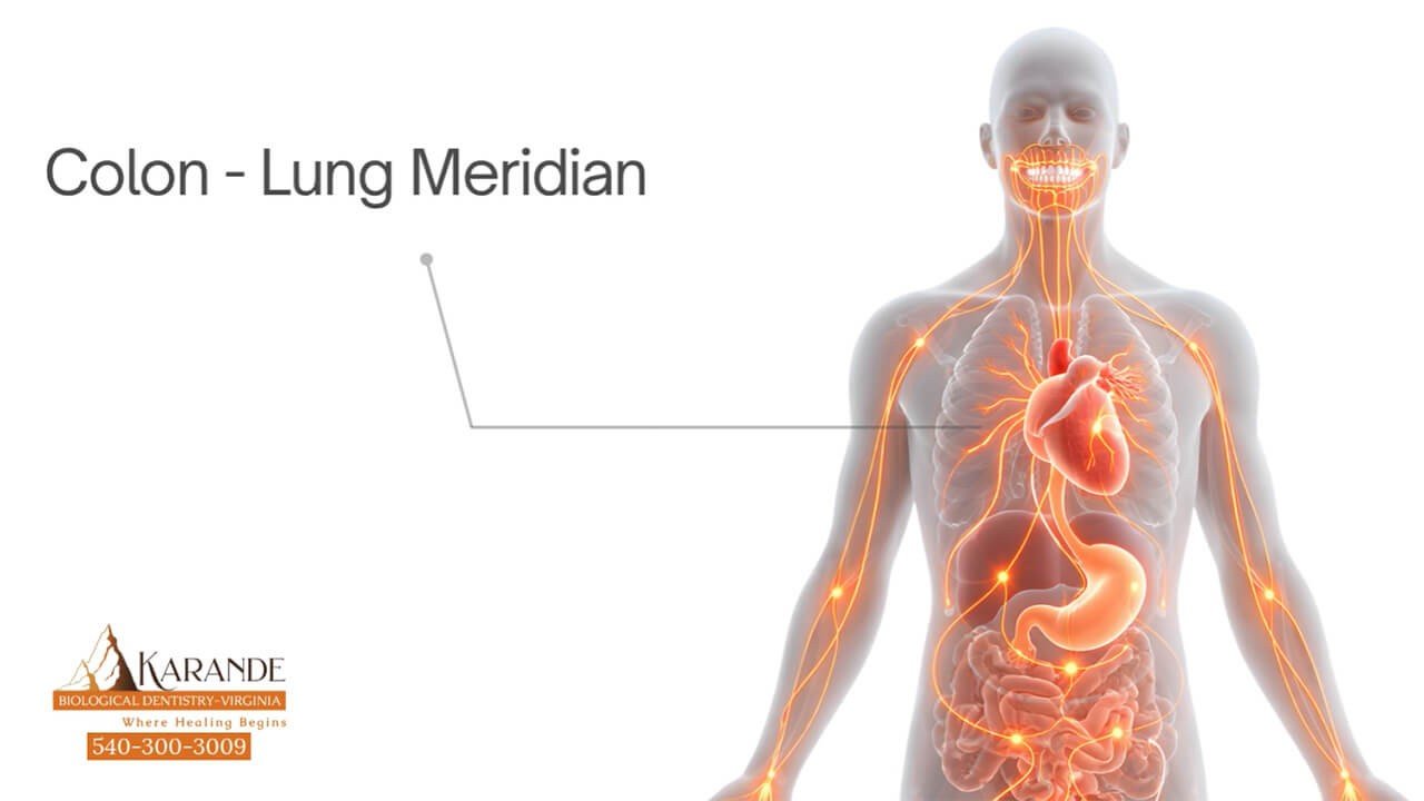 Cardiovascular System - Dr. Sachin Karande