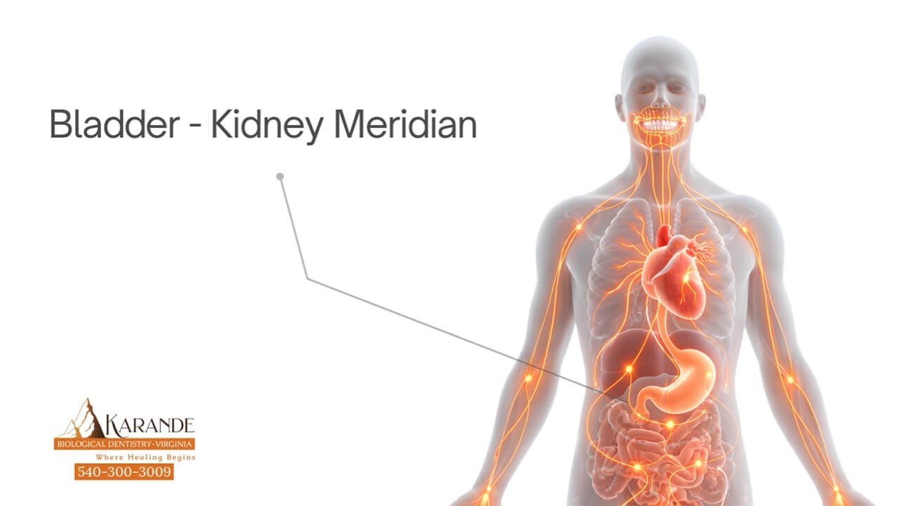 Kidneys and Bladder- Dr. Sachin Karande