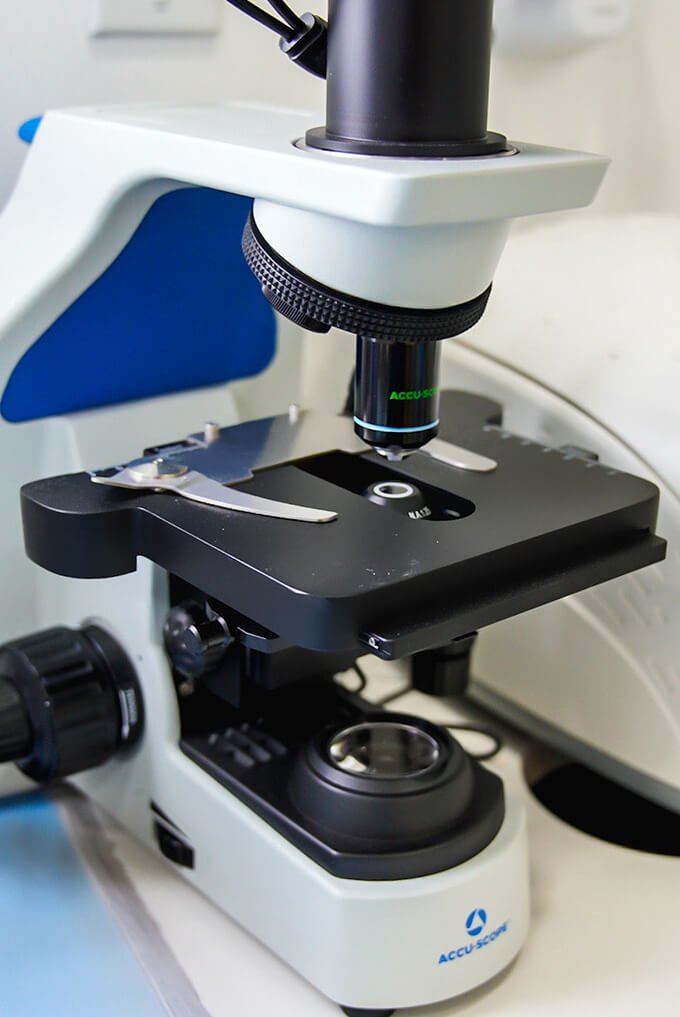 Dental Technology Devices Image - 8 at Karande Biological Dentistry